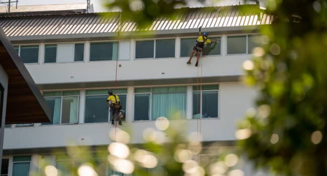 Industrial abseilers cleaning apartment building windows